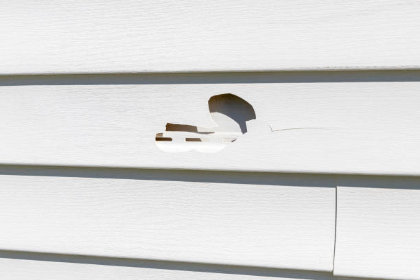 Affordable siding repair and maintenance services in Shawano, WI